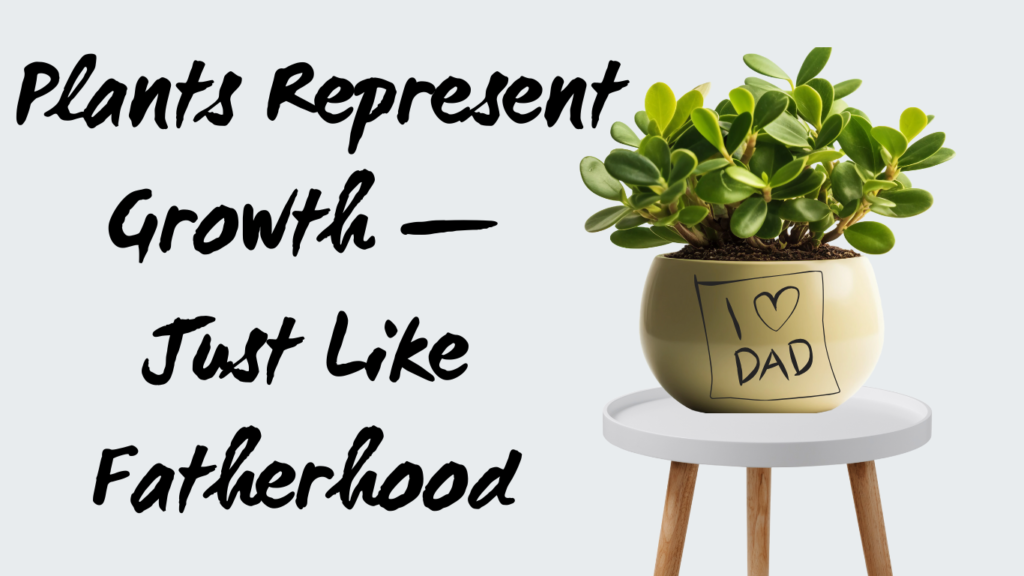 Plant for father